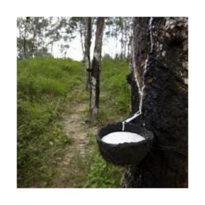 Wholesale medical adhesive: Natural Rubber Latex for Sale in Wholesale Price