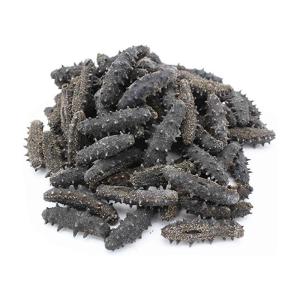 Wholesale dry box: High-grade Fresh Sea Cucumber At Good Market Prices