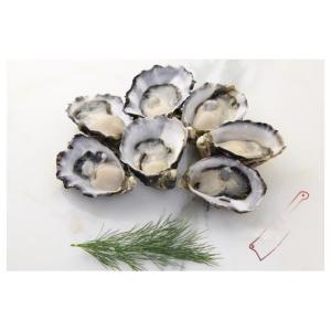 Wholesale chilled shipping containe: Fresh Large Oysters for Sale Live Oysters Near Me Buy Oysters