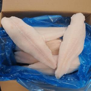 Wholesale pangasius: Frozen Pangasius Fillet