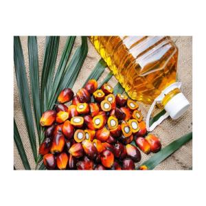 Wholesale natural soap: Palm Nuts Quality Palm Nuts Palm Kernel