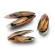Greenshell Mussel