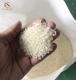 Sell Japonica Rice