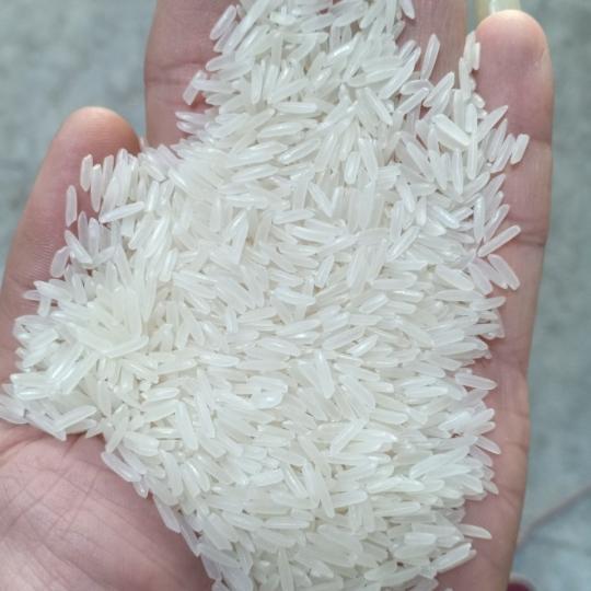 Sell VietNam ST24 Rice