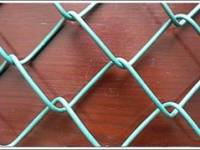 PVC Coated Welded Wire Mesh Fence(Factory)