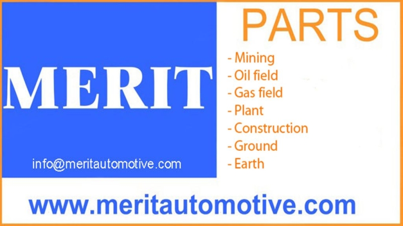 Merit TR Company Logo