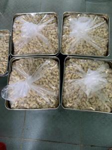 Wholesale agriculture: 100% High Quality Cashew Nuts & Kernels WW240 Available