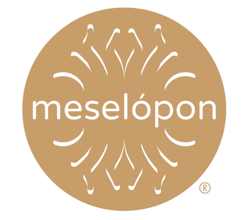 Meselopon Ltd Company Logo