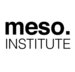 Meso.INSTITUTE Company Logo