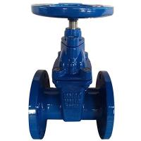 BS Non-rising Stem Resilient Seatd Gate Valve China
