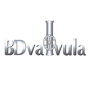 Baoding Valvula Imp&Exp Co.Ltd Company Logo