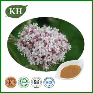 Wholesale Plant Extract: Valerian Root Extract