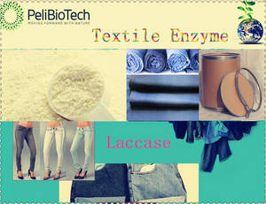 Wholesale indigo powder: Bleaching Enzyme with Good Contrasts for Denim Dyed with Indigo(Ready To Use)