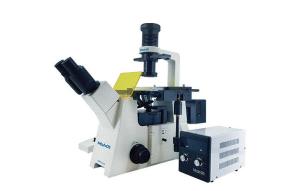 Wholesale microscope slide: Inverted Fluorescence Microscope MF53-N