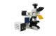 Research-level Upright Fluorescence Microscope MF43-N