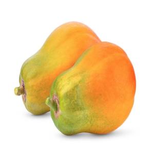 Wholesale cooling: Fresh Papaya Fruit