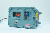 Weighing Scale MI-711A & 711P for Platform Scale, Animal Scale, Truck