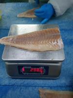 Frozen Saithe Fillet 2