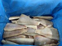 Frozen Saithe Fillet 3