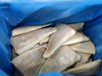 Frozen Saithe Fillet