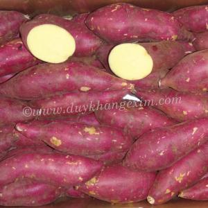 Wholesale Fresh Sweet Potatoes: Japanese Potato