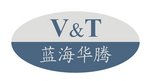 VT Drive Technology Company Logo