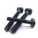 SS Aluminum DIN186 DIN261 T Slot Bolt M6 Hammer Bolt Galvanized T Head Bolt T-Bolt