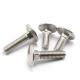 Grade A2 A4 Stainless Steel Carriage Bolt DIN603 Domed Heads with A Square Section Bolt