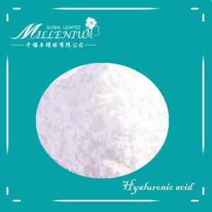 Wholesale cosmetic: Food and Cosmetic Grade Sodium Hyaluronate Hyaluronic Acid Powder