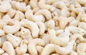 Wholesale nut: Cashew Nut