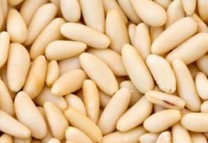 Wholesale pine nut in shell: Top Grade Pine Nuts Available for Export