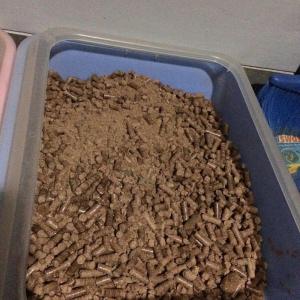 Wholesale Other Energy Related Products: Wood Pellet