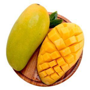 Wholesale Mango: Fresh Cat Hoa Loc Mango From Vietnam- Sweet Fruit, Cheapest Price, Best Quality (HuuNghi Fruit)