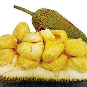 Wholesale food storage container: Fresh To Nu Jackfruit From Vietnam- Sweet Fruit, Cheapest Price, Best Quality (HuuNghi Fruit)