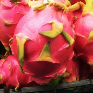 Wholesale best dragon fruit: Fresh Dragon Fruit  From Vietnam- Natural Sweet Fruit, Cheapest Price, Best Quality (HuuNghi Fruit)