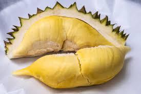 Wholesale health supplement: Fresh Monthong Durian (Dona) From Vietnam-Cheapest Price, Best Quality (HuuNghi Fruit)