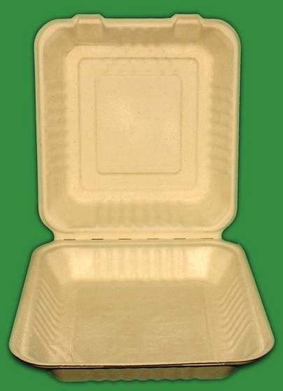 Sell unbleached biodegradable tableware