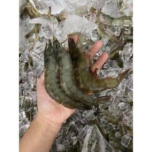 Wholesale seafood: Frozen Vannamei Shrimp