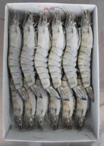 Wholesale black tiger shrimps: Frozen Black Tiger Shrimp