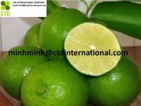 Vietnam Green Lemon 84919425898