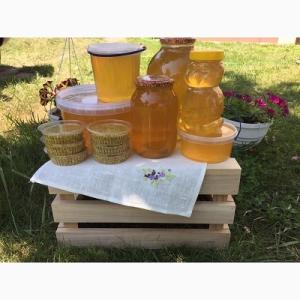 Wholesale herb: Natural Bee Honey