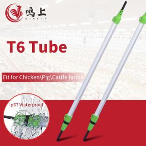 Wholesale d: IP67 No Flicker MinTu LED Poultry Light T6 Tube Animal Welfare Suitable for Layers Breeder Broiler