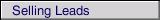 Selling Leads