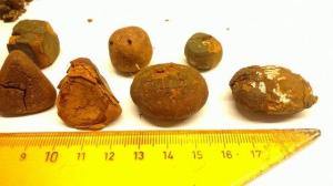 Wholesale air pack: Buy Ox Gallstones for Sale