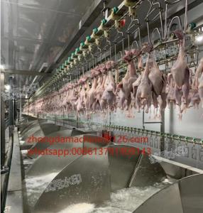Wholesale duck: Duck Slaughter and Abattoir Machine