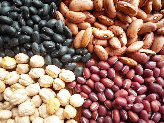 Kidney Beans - Buy South Africa Kidney Beans in EC21 global marketplace