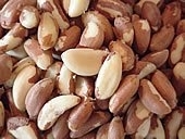 Sell Brazilian Nuts