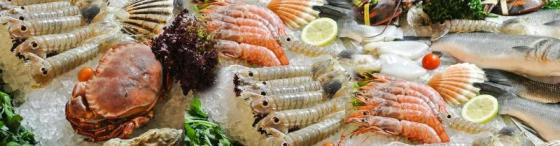 Sell Frozen Seafood