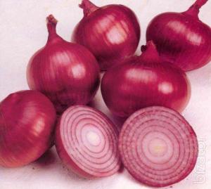 Wholesale packaging: Red Onion