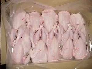 Wholesale chilled shipping containe: Frozen Fresh Halal Chicken Meat Boneless Skinless, Frozen HALAL Chicken Gizzards